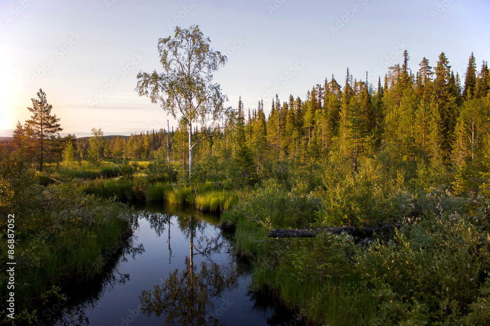 Summer sunset in the Karelian forest. Russia Summer sunset in the Karelian forest. Russia