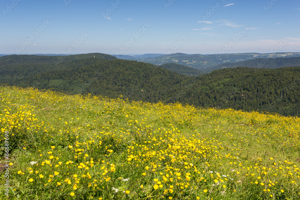 Vallée et sommet des Vosges Vallée et sommet des Vosges