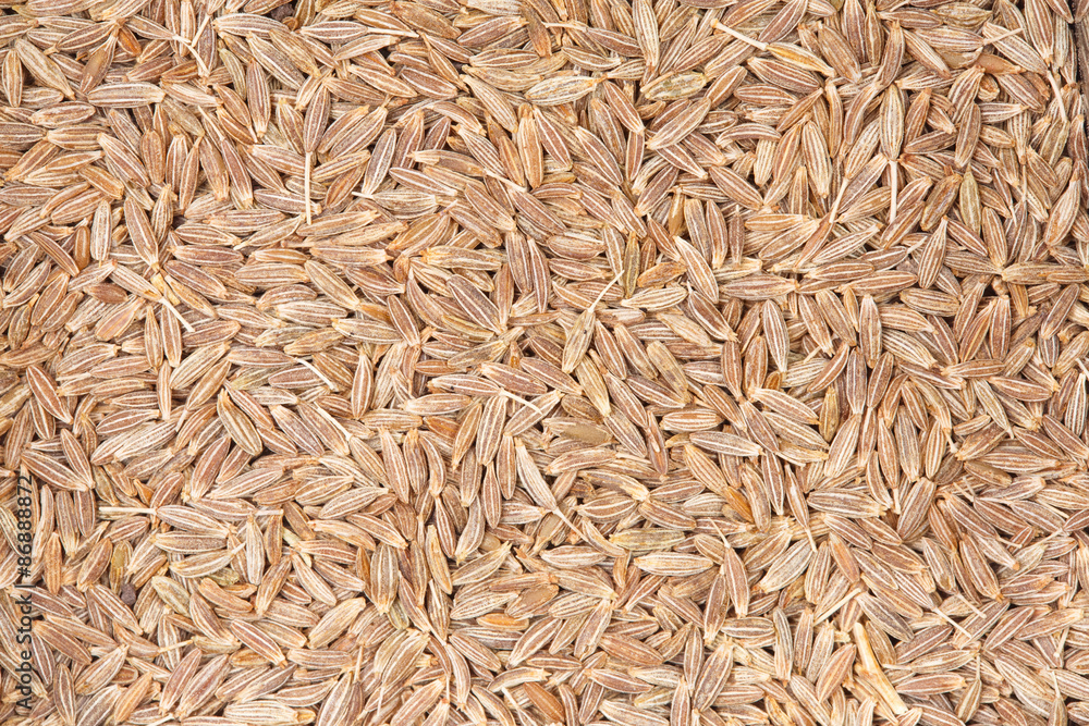Cumin seeds texture, full frame background. Most popular spice i Cumin seeds texture, full frame background. Most popular spice i