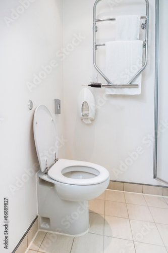                   Flush lavatory