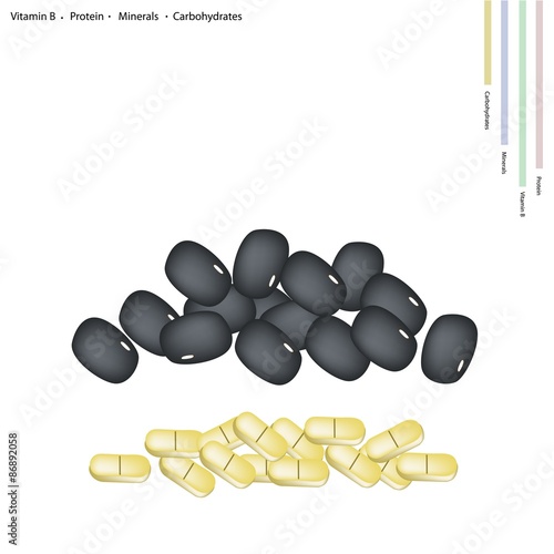 Black Bean with Vitamin B, Protein, Minerals and Carbohydrates