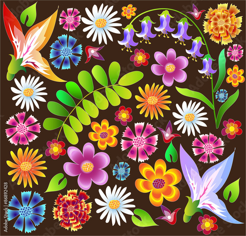 Illustration of  colorful summer wildflowers  with Hand draw flowers and leafs
