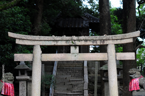 Obraz na plátně Shrine Atago jinja in Inano jinjya-2