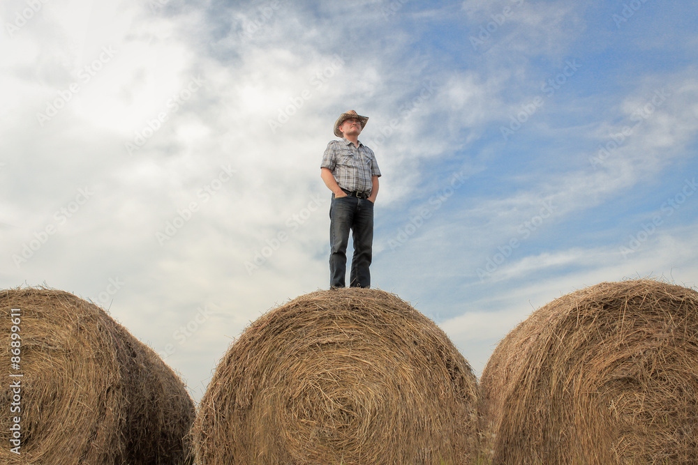 horizontal image of one farmer wearing a cowboy hat standing on a huge hay bale with his hands in his pockets gazing across the land under a beautiful cloud filled sky in the summer time horizontal image of one farmer wearing a cowboy hat standing on a huge hay bale with his hands in his pockets gazing across the land under a beautiful cloud filled sky in the summer time