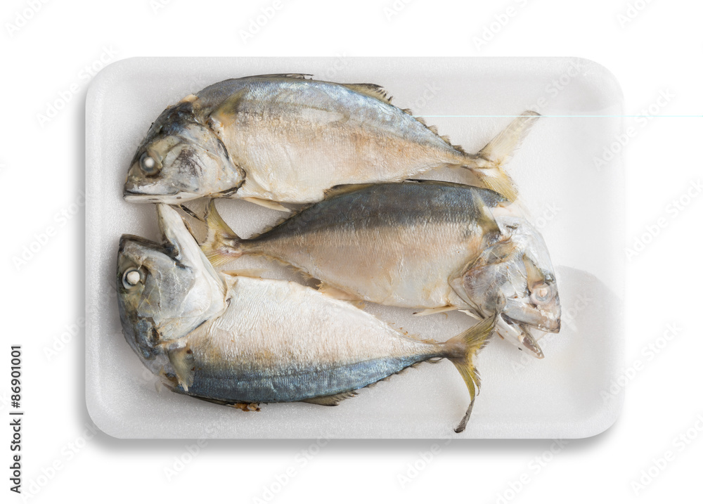 Thai mackerel Thai mackerel