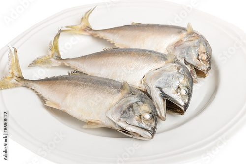 Thai Mackerel