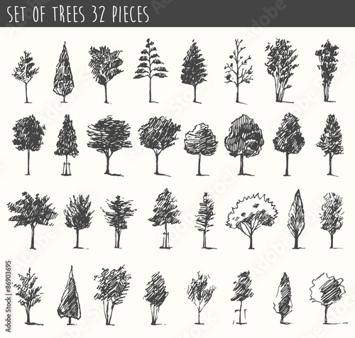 Trees sketch set, vintage vector style, hand drawn