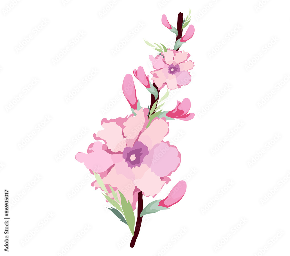 Japanese plum blossom watercolor