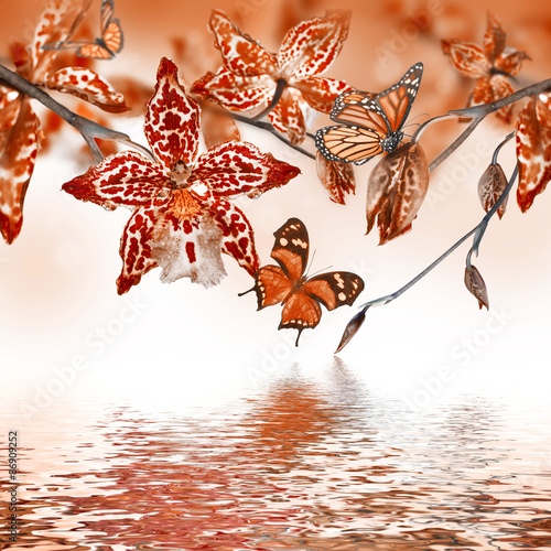 Fototapeta Naklejka Na Ścianę i Meble -  Floral background of tropical orchids, butterfly