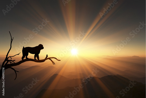 日の出と猿 © bigfoot