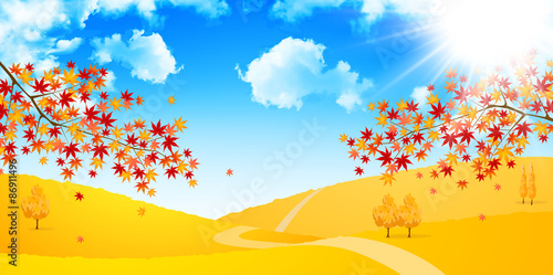 もみじ　紅葉　背景