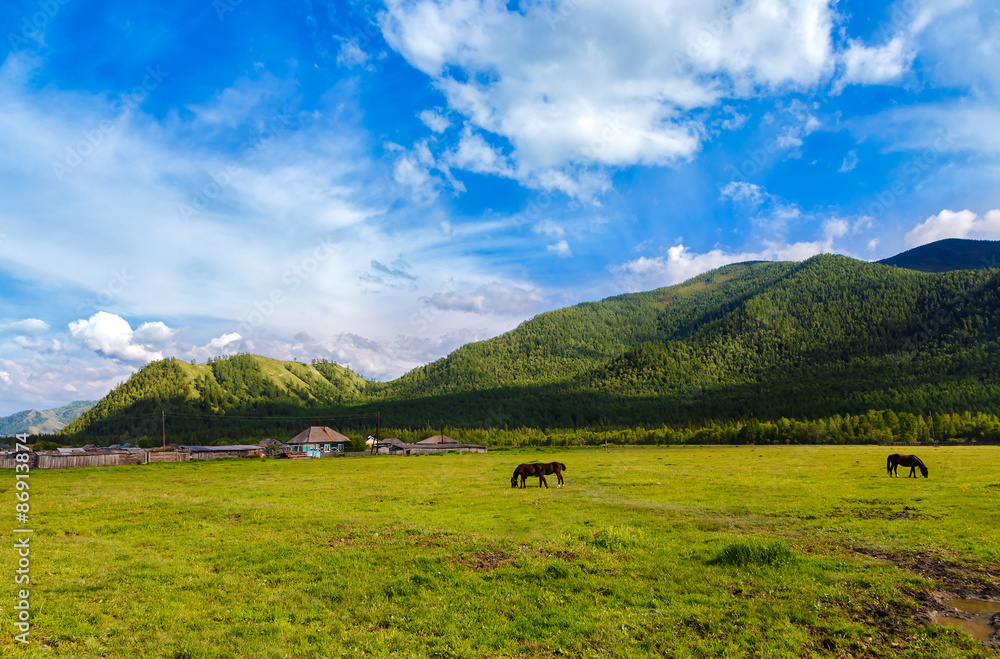 view from the foot of the slope on mountains and grazing horses