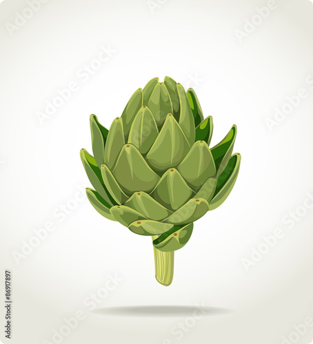 green fresh useful eco-friendly artichoke