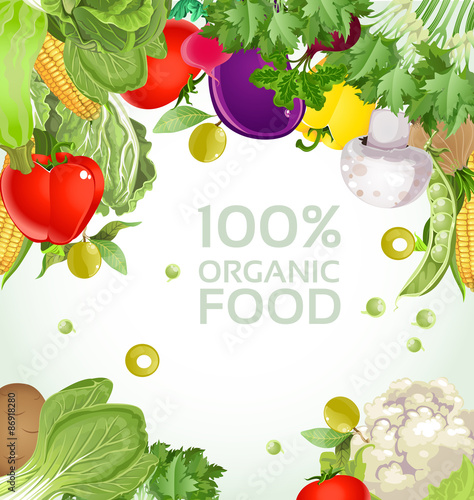 Vegetarian vegetable 100% organic food background
