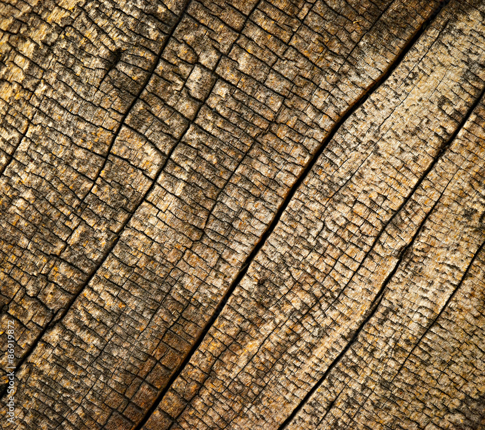 Fototapeta premium old rotten wood