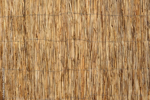 Reed Cane Woven Wall 