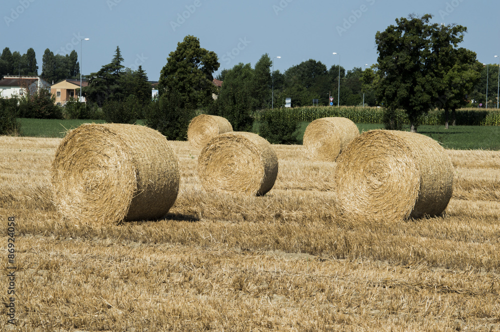 Focus on hay bales in the foreground in rural field.