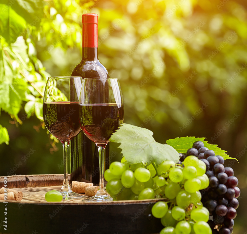 still life with red wine on garden terrace