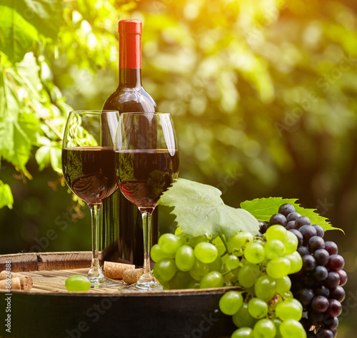 still life with red wine on garden terrace