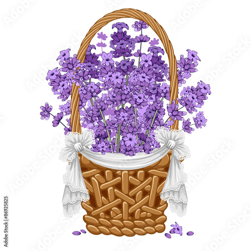 Fototapeta Naklejka Na Ścianę i Meble -  Lavender in basket
