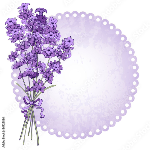 Fototapeta Naklejka Na Ścianę i Meble -  Lavender