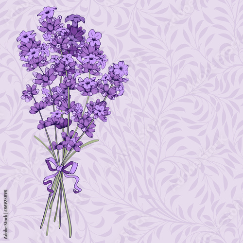 Fototapeta Naklejka Na Ścianę i Meble -  Bouquet of Lavender