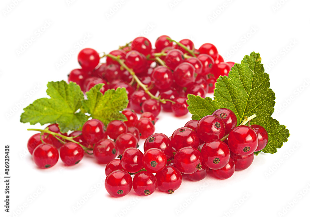 Red currant on white
