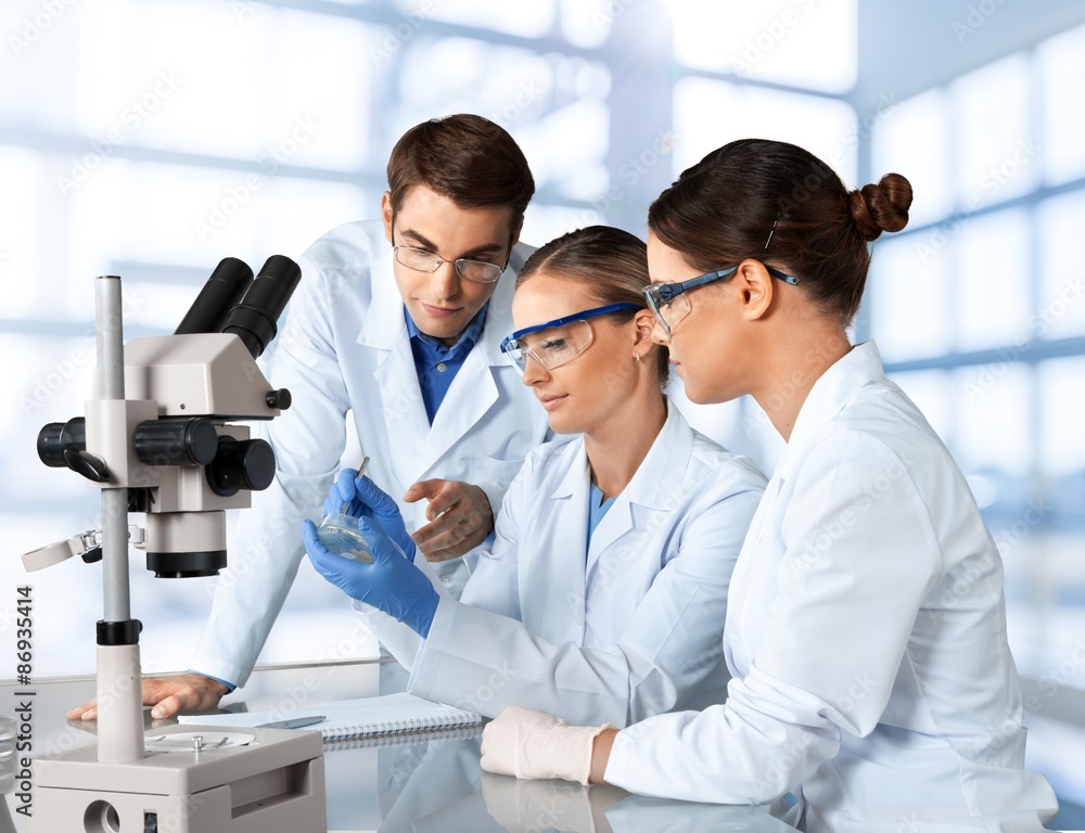 Fototapeta premium Laboratory, Biotechnology, Research.