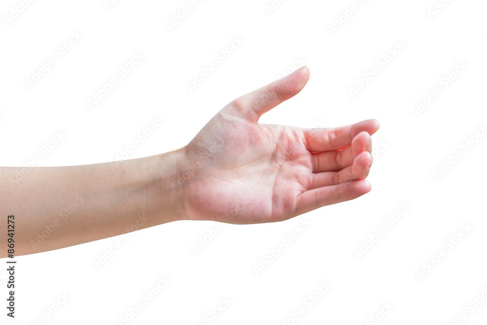 One female hand isolated with clipping path. One female hand isolated with clipping path.