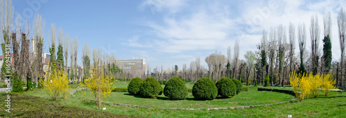 The Botanical garden from Bucharest
