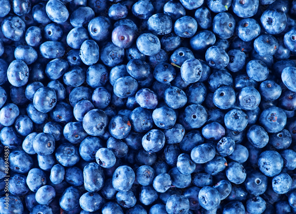 blueberry blueberry