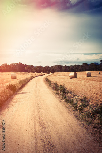 Straw field panorama