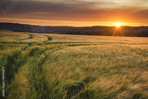 Beautiful Summer vibrant sunset landscape over agricultural crop