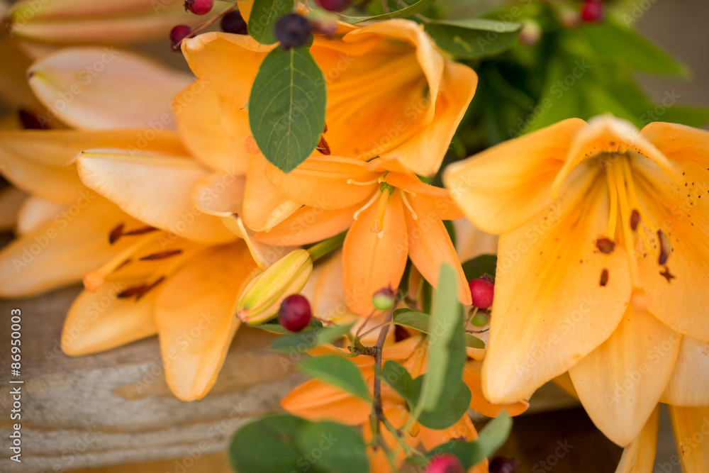 A bunch of wonderful orange asiatic lily flowers A bunch of wonderful orange asiatic lily flowers