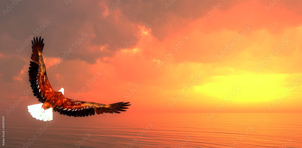 Obraz premium Eagle flying - 3D render