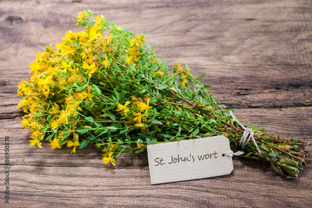 Naklejka premium Hypericum perforatum or St john's wort
