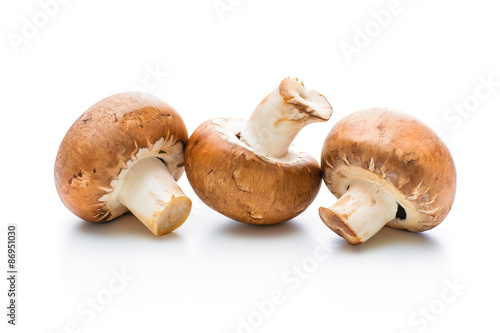 Fresh champignon mushrooms