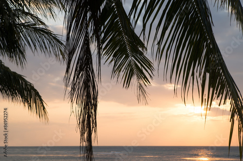Beautiful view of sunset on the beach. Palm in a sunlight.
