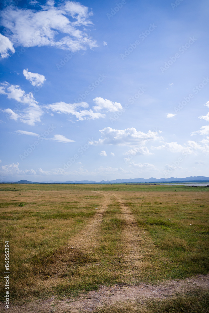 Landscape of cloud and dry field