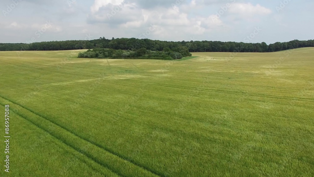 Aerial view of scandinavian cornfields