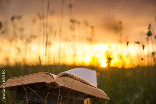 Opened hardback book diary  fanned pages against sunset