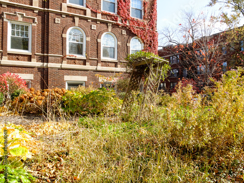 Overgrown Fall Garden photo