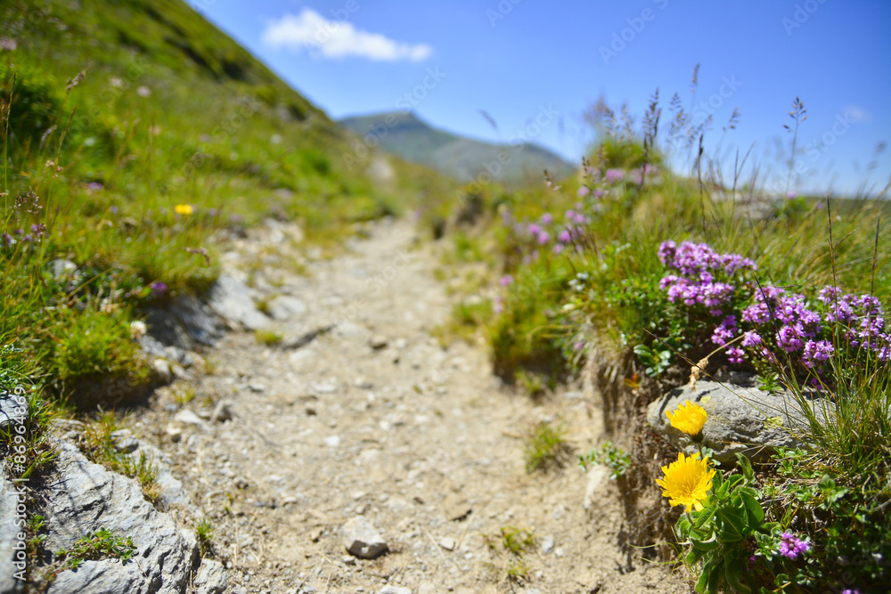 Obraz premium mountain trail