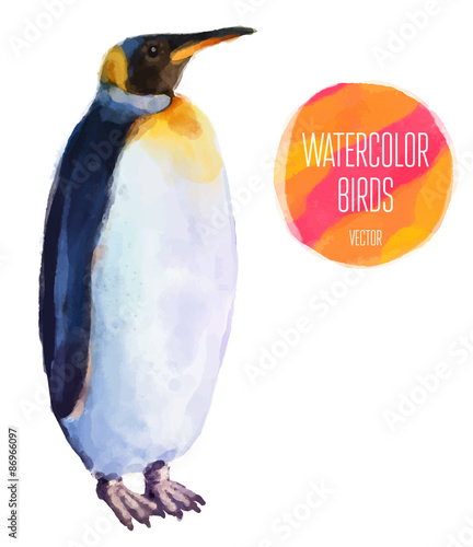 Vector watercolor style  illustration of bird.