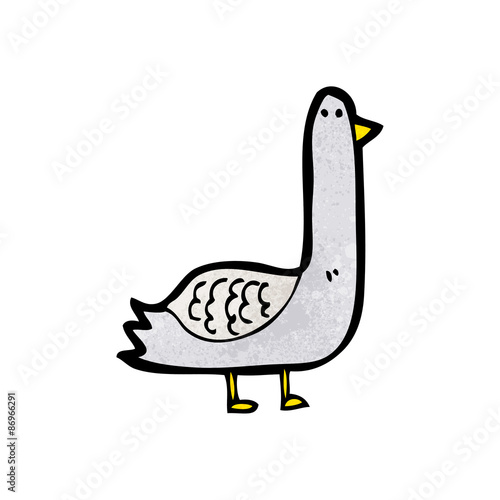 cartoon pigeon
