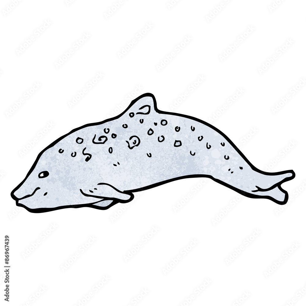 Obraz dolphin illustration