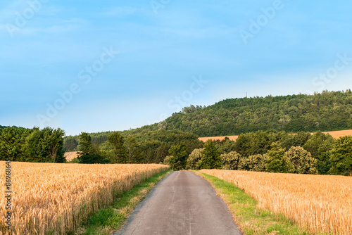 Straße zwischen den Weizenfeld