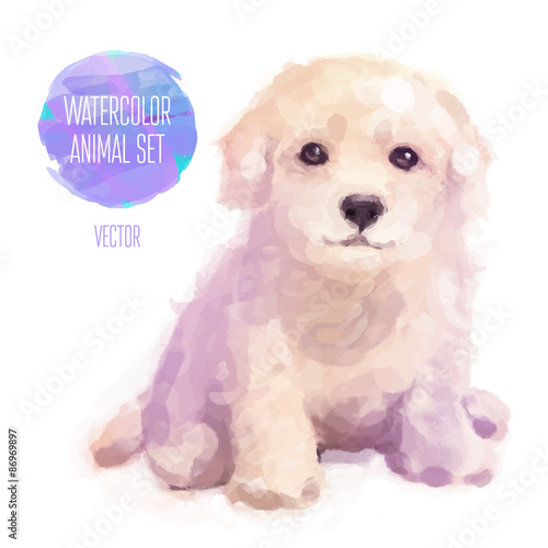Vector dog hand painted watercolor illustration isolated on