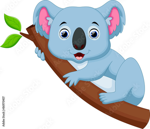 Cute koala cartoon on a tree