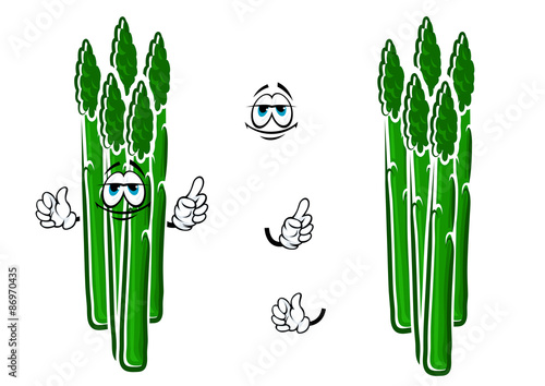 Asparagus vegetable spears cartoon character